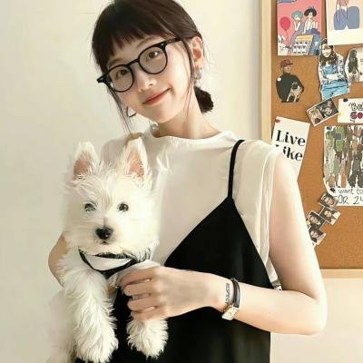仓鼠管家