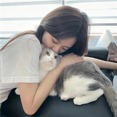 你的情歌